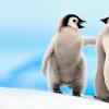 人类怪物企鹅的体重可能超过175磅