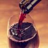 庆祝葡萄酒之路第21届年度葡萄酒与美食事业的收获