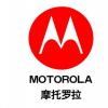 摩托罗拉采取行动凸轮行动在印度推出 售价为13,999卢比