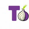 Tor网络的扩展 针对互联网审查的浏览器插件