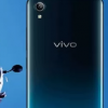 Vivo推出了其流行的Y系列的另一个变体