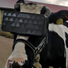 俄罗斯的农民为牛设计了定制的VR头戴式耳机