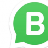 WhatsApp Business下载量突破500万 并宣布了新的桌面功能