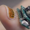 IBM设计了支持AI的指甲传感器 可以跟踪您的健康状况