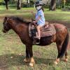 陈冠希的女儿阿拉亚骑马的照片被网友们称赞为可爱勇敢