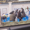 武汉某小区临时封闭 原拍摄于电影《中国医生》