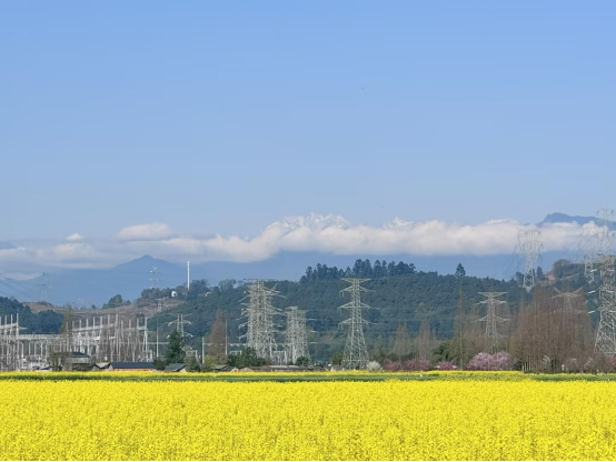 从花田到心田——中国人寿财险四川分公司春耕服务纪实